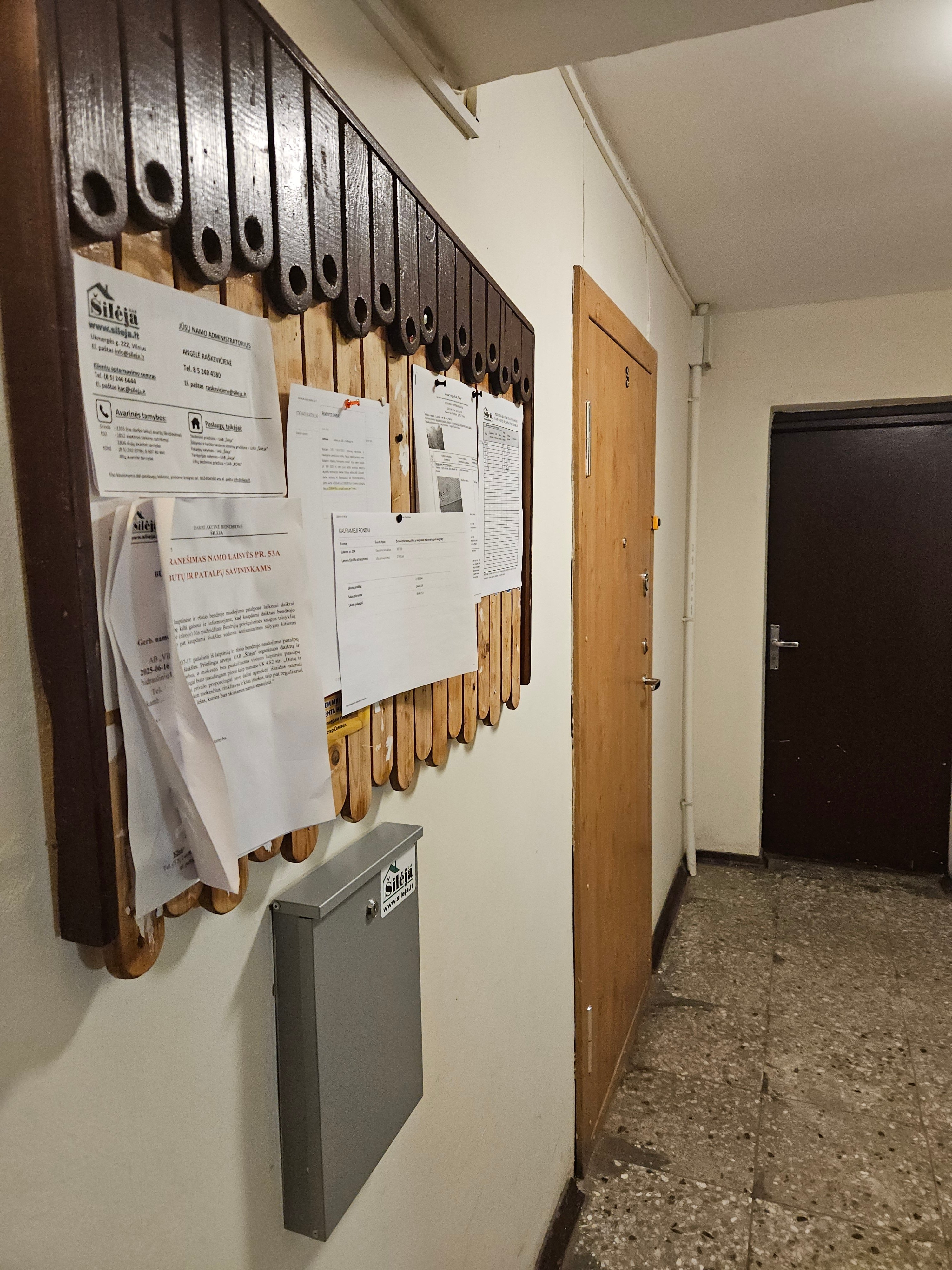 コラム用2_2732949687