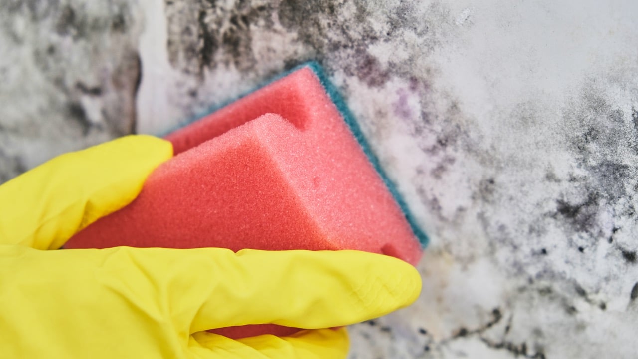 AdobeStock_218238980_s