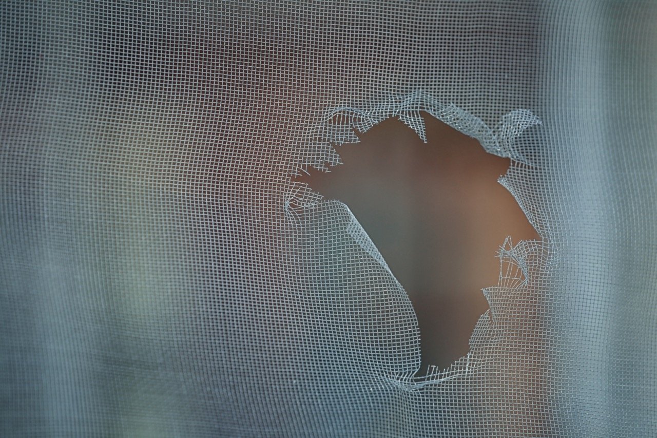 AdobeStock_171995453_s