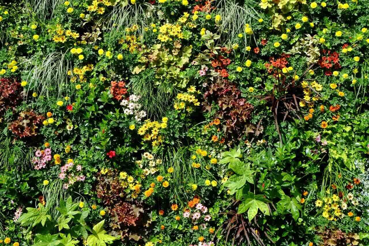 AdobeStock_172788858_s