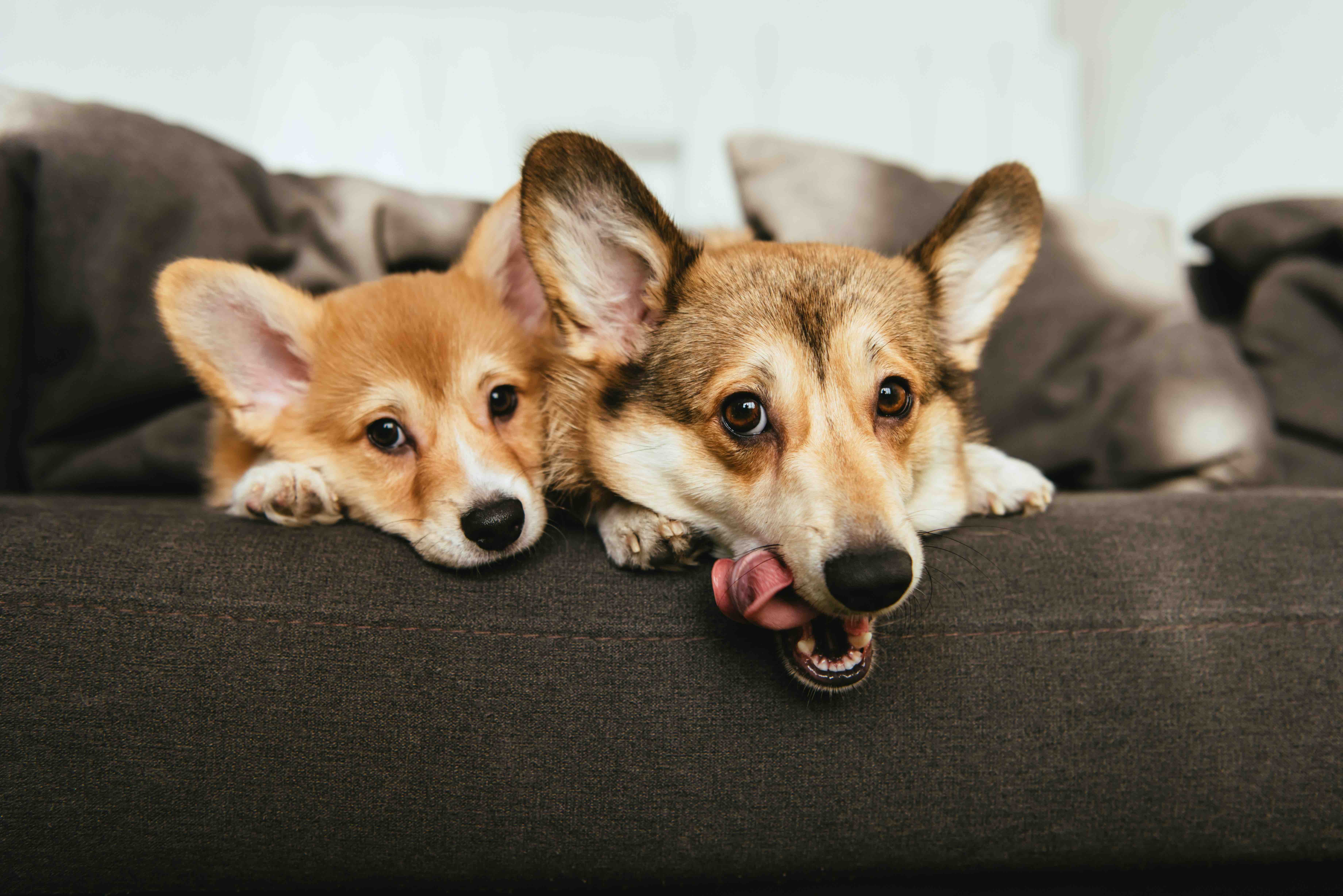 AdobeStock_236995260