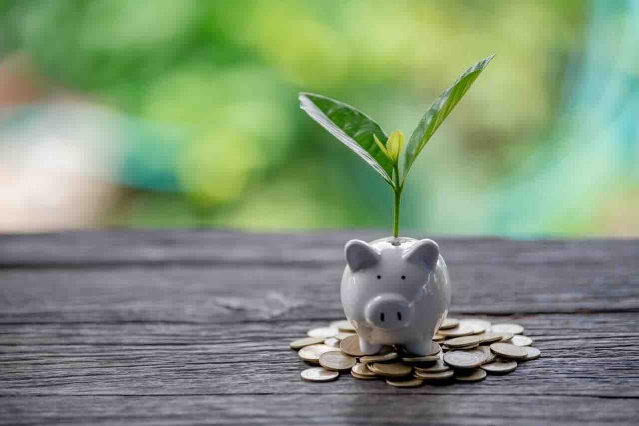 AdobeStock_286213116_s