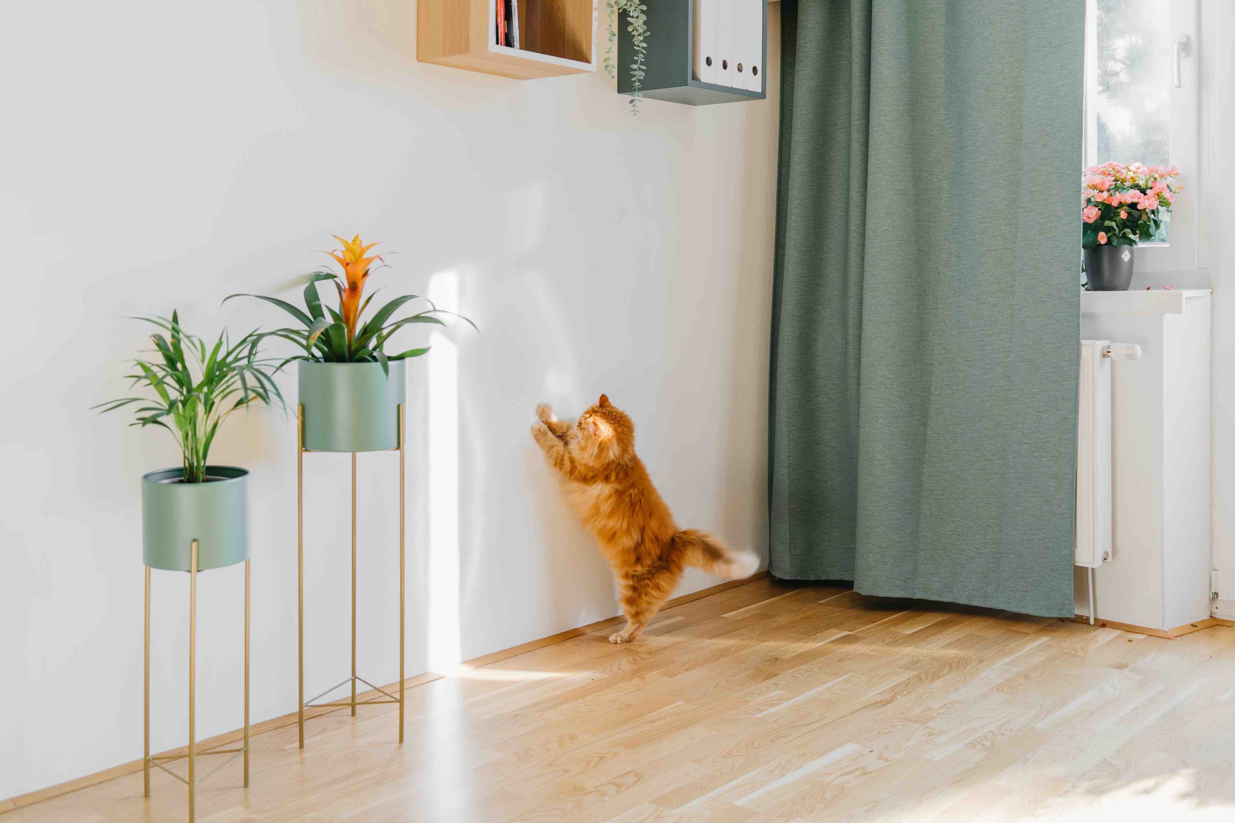 AdobeStock_459334878