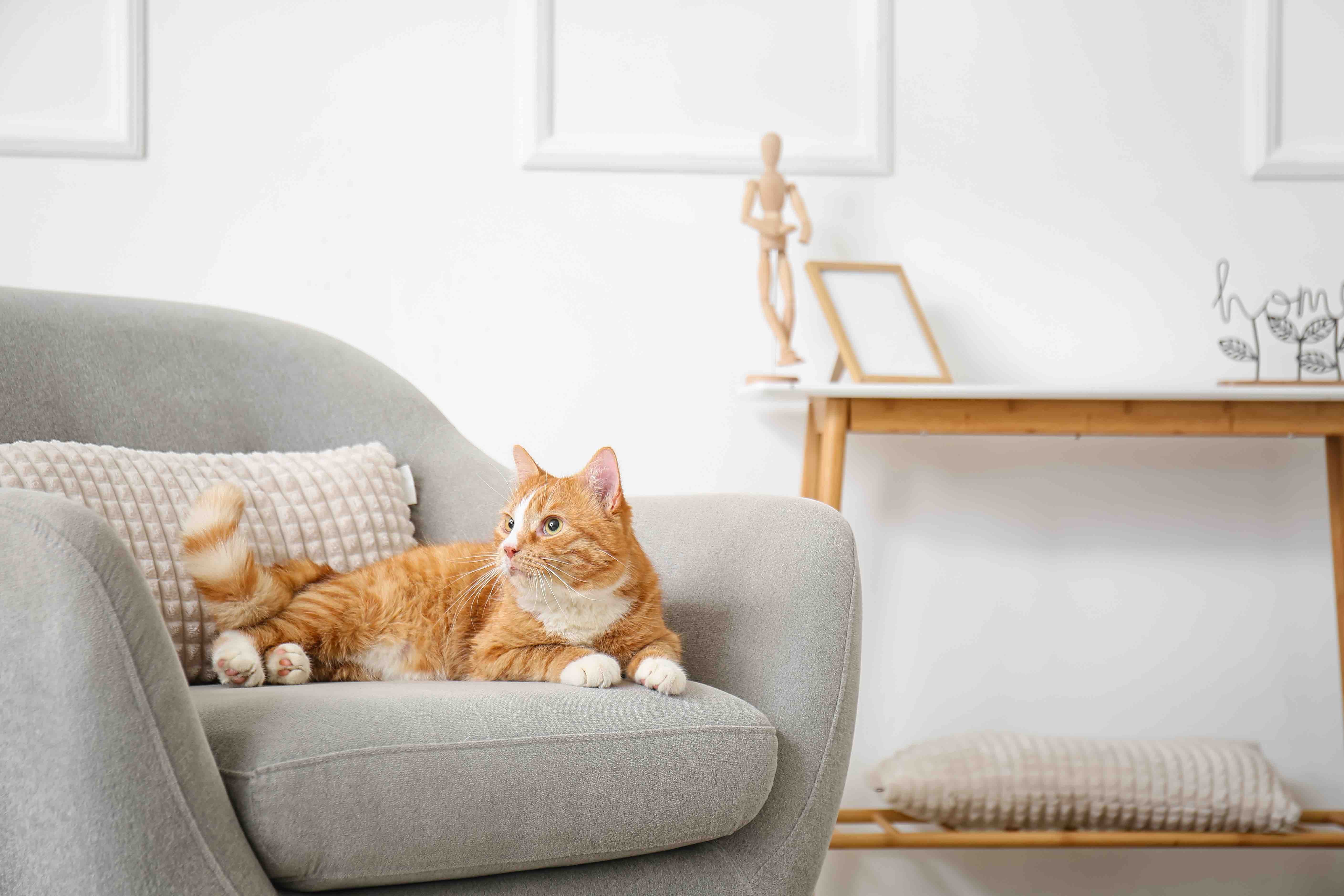 AdobeStock_485939916