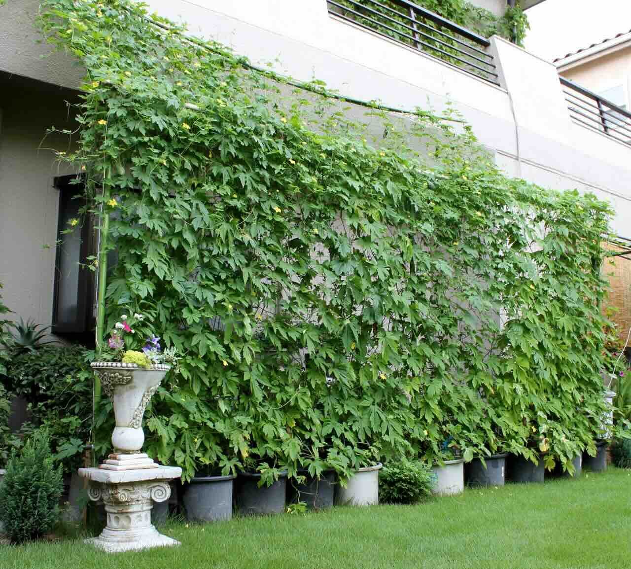 AdobeStock_61190077_s