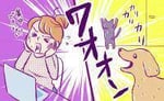 マンションの「ペット問題」を解決したい！