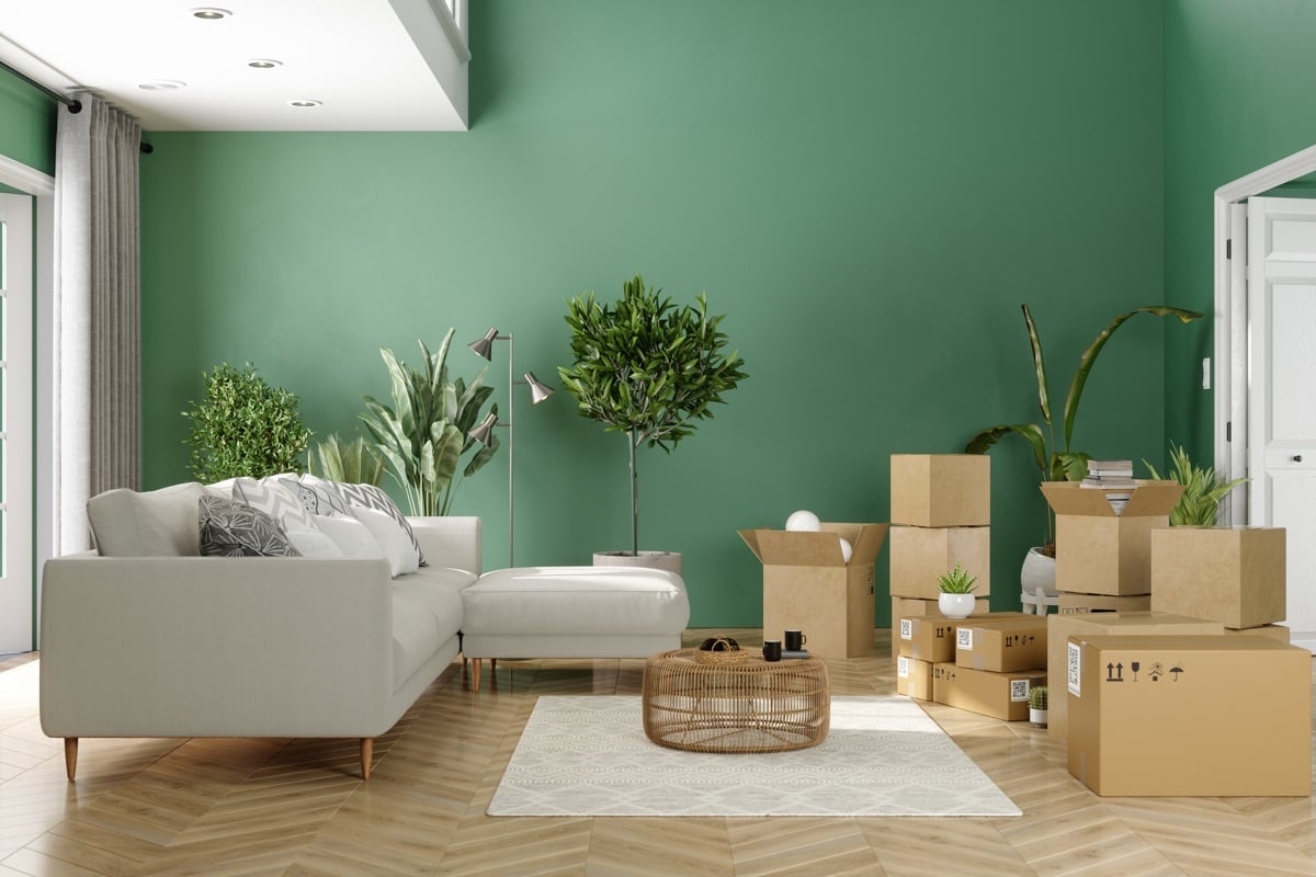 iStock-2219668320