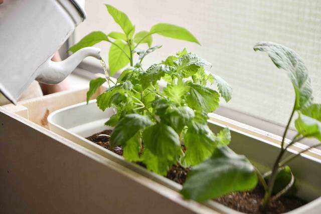 ベランダをもっと楽しもう！2段プランターラックをDIY。