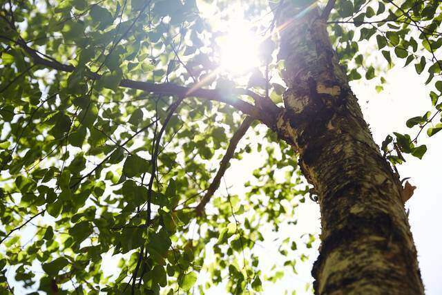創業46年目の初挑戦!!8種の宿泊スタイルで“衣・食・住+遊”を満喫