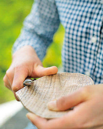 身近な素材で作る温故知新な木工スタイル!採れたて生木で小粋な豆皿をDIY