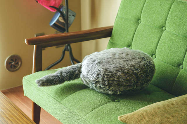 都会で楽しむオールドハワイアンな暮らし？！リノベ賃貸が叶えた癒し空間