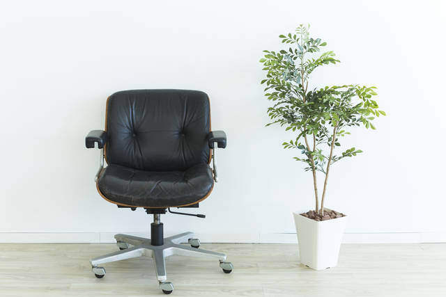 真似したい！オフィスインテリアコーディネートの基本とテクニック