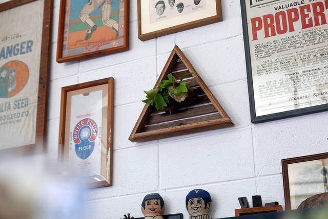 ウォールグリーンを楽しむ！簡単に作れて飾れるDIYプランター