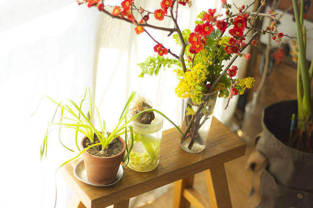 山道具を巧みに収納！壁面を有効活用した2人と1匹暮らし