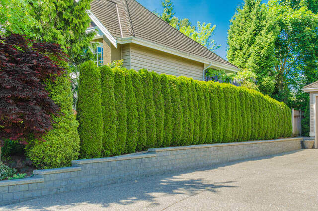 【ブロック塀】改修工事の費用目安一覧!リフォームが必要なサインとは?