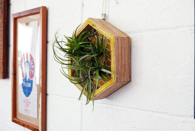 ハニカムデザインで洒落度アップ！壁掛けプランターの作り方！