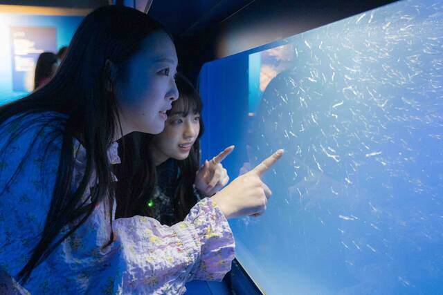 撮影前に新江ノ島水族館の近所でしらす丼を食べてきた二人...