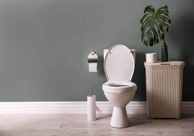 快適さ、段違いです。便器だけじゃない華麗なるトイレの脇役たち
