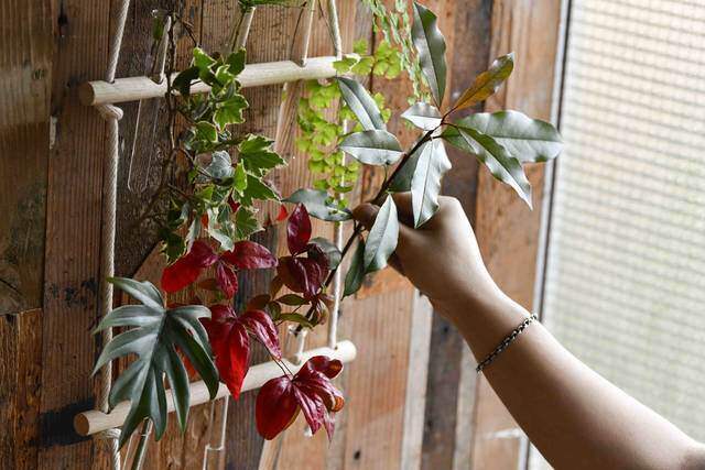 試験管×棒材で作るフラワーベース！植物で壁を飾ろう