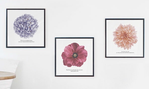 風水で玄関からツキを呼び込む！オススメ開運インテリアの作り方