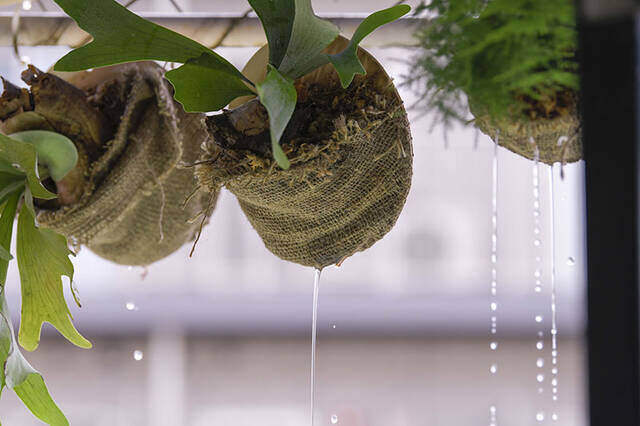 植物は“置かず”に“掛ける”時代へ！省スペースかつおしゃれなプランターをDIY