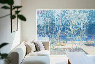 切り取る景色がインテリア。たっぷりの自然光で優しく照らす『窓の家』。 | カシワバラさんの暮らし。