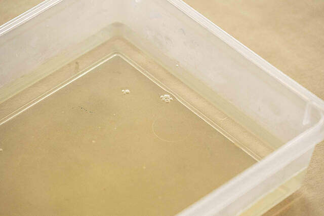 ゲルプリントで遊ぼう！捨てるはずだったデザインで転写DIY