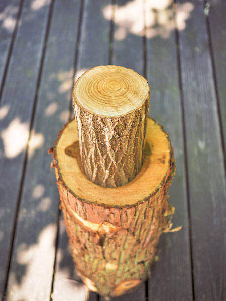 身近な素材で作る温故知新な木工スタイル!採れたて生木で小粋な豆皿をDIY