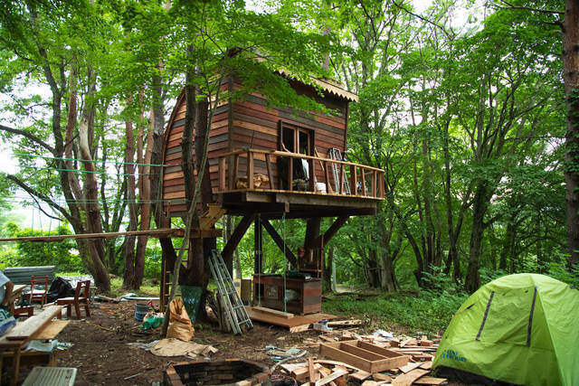 四季や昼夜を問わず映えまくり!?DJIも認めたツリーハウスが福島県に誕生！