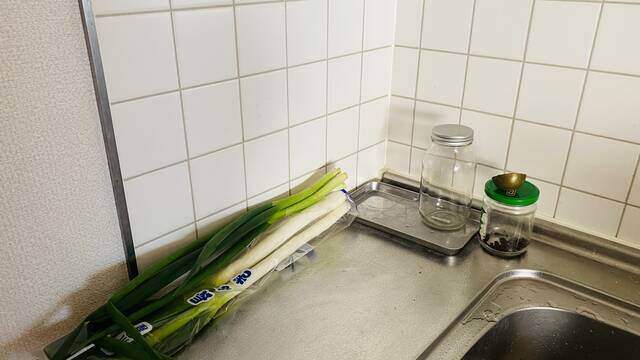 誕生“ネギスタンド”。キッチンをスマートに魅せる新しい生活必需品