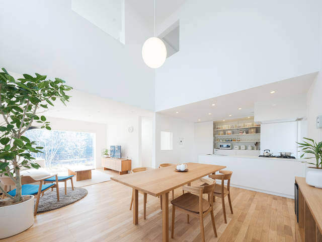 切り取る景色がインテリア。たっぷりの自然光で優しく照らす『窓の家』。