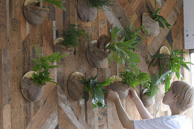 植物は“置かず”に“掛ける”時代へ！省スペースかつおしゃれなプランターをDIY