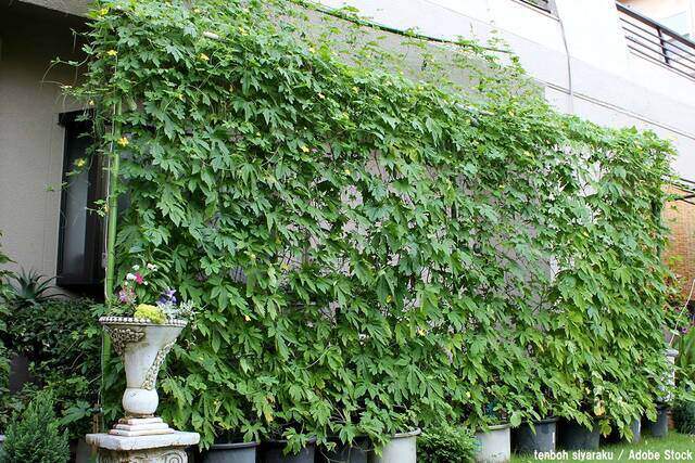 2階が暑くなる理由は?涼しくするための方法も紹介