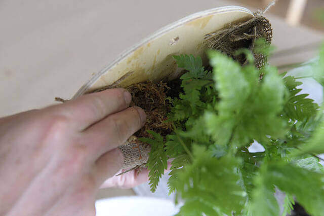 植物は“置かず”に“掛ける”時代へ！省スペースかつおしゃれなプランターをDIY