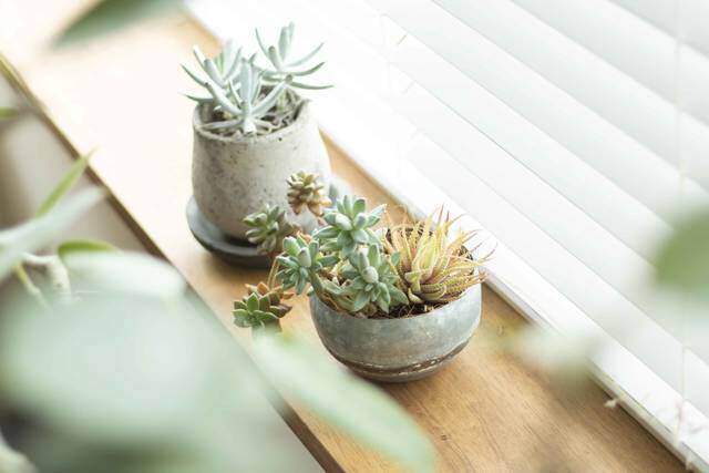 生活動線も思いのまま!コンクリート×アンティークで魅せるリノベーション。