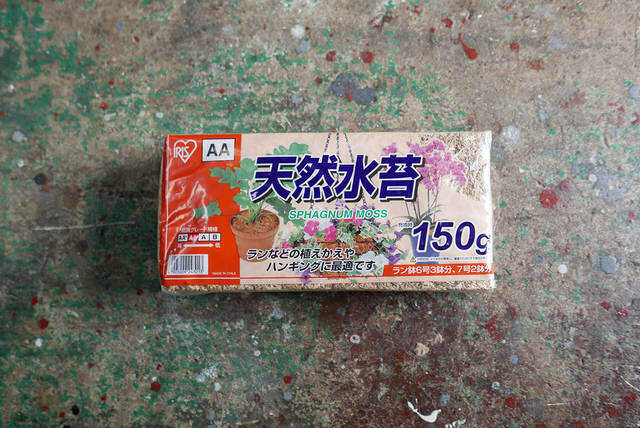 ウォールグリーンを楽しむ！簡単に作れて飾れるDIYプランター