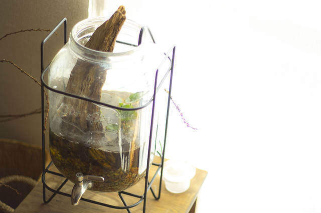 山道具を巧みに収納！壁面を有効活用した2人と1匹暮らし