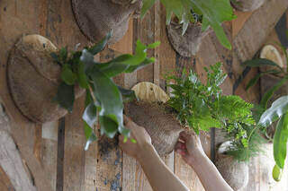 岩西さん監修の記事はこちら!