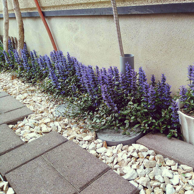 庭に砂利を敷きたい!化粧砂利の施工例とオシャレな庭作りのヒント