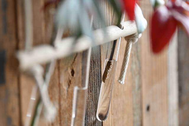 試験管×棒材で作るフラワーベース！植物で壁を飾ろう