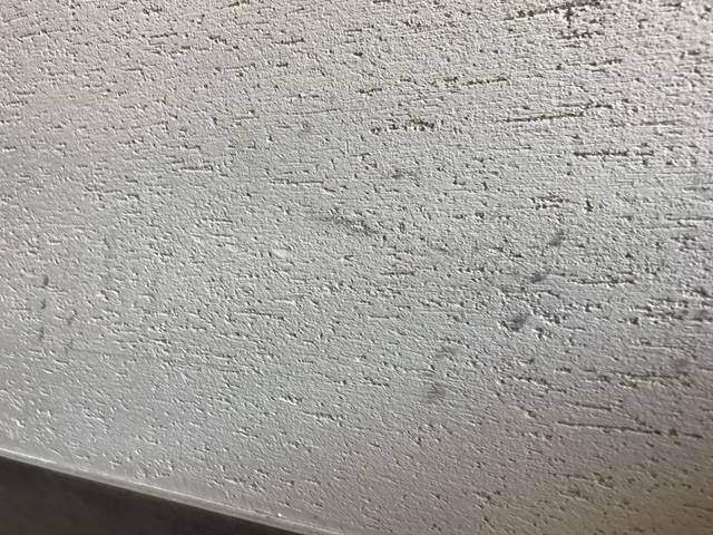 どう掃除する?珪藻土クロスの汚れや傷のお手入れ方法