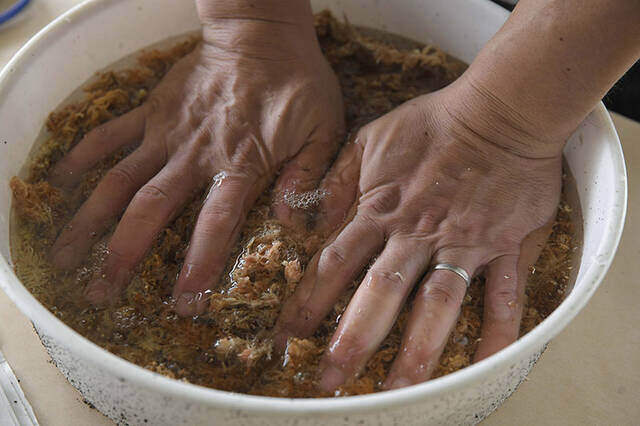 植物は“置かず”に“掛ける”時代へ！省スペースかつおしゃれなプランターをDIY