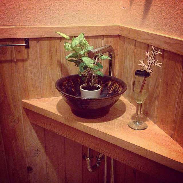 オシャレなトイレは手洗いカウンターが主役!参考実例5選!