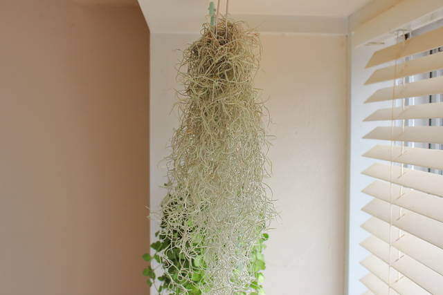 脱・生活感で洗面所をイメチェン!便利&オシャレな空間を目指そう