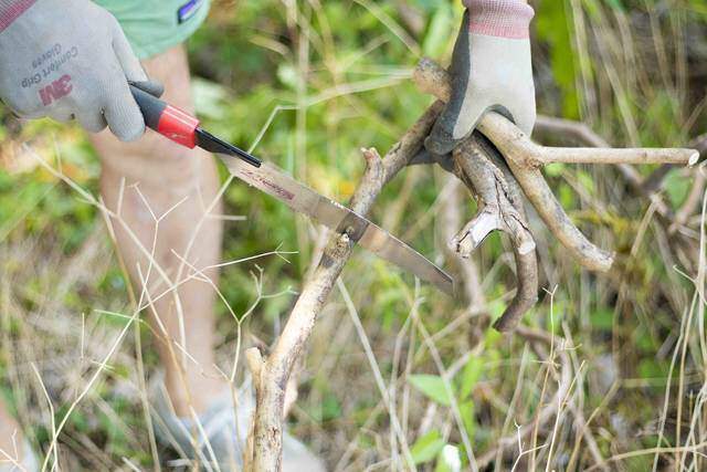 枯れ枝だって立派な木材!低予算でオシャレな壁掛けフックが完成!