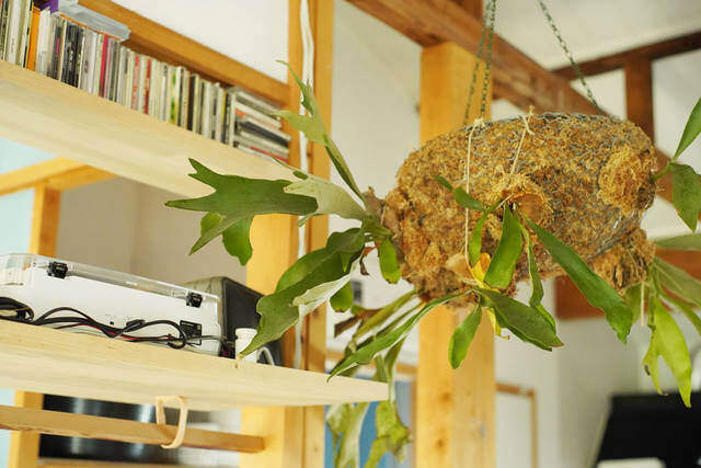 家具はほぼDIY!古民家で自分らしく暮らすDIY可能物件!