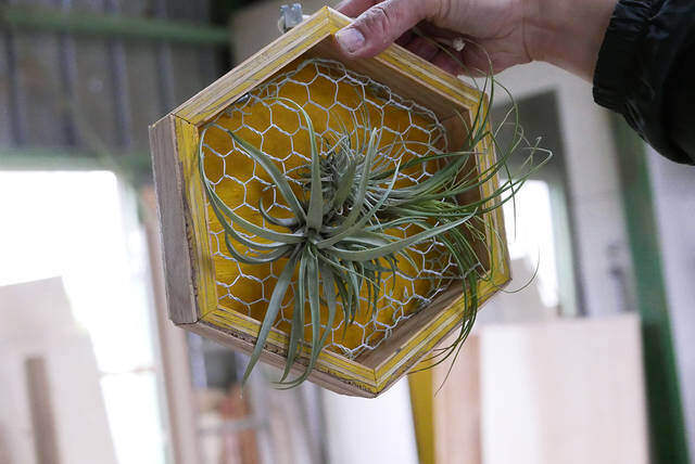 ハニカムデザインで洒落度アップ！壁掛けプランターの作り方！