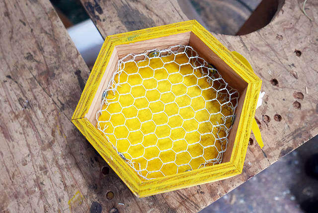 ハニカムデザインで洒落度アップ！壁掛けプランターの作り方！