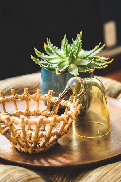 古き良き日本の風情を感じるリノベ賃貸。和モダン部屋を具現化させるコーデ術とは?