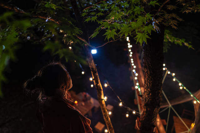 四季や昼夜を問わず映えまくり!?DJIも認めたツリーハウスが福島県に誕生！